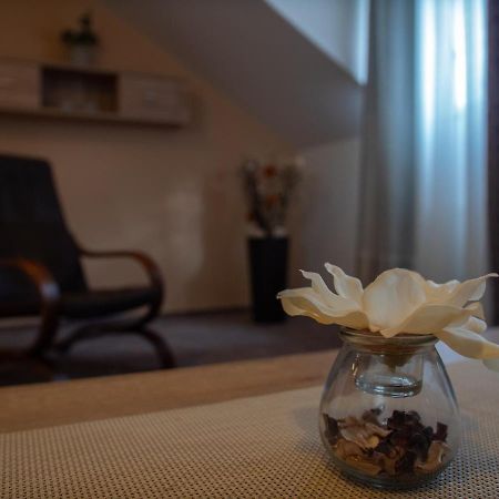 Hotel Pizzeria Istria Velke Losiny Bagian luar foto