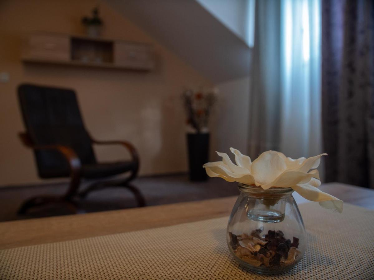Hotel Pizzeria Istria Velke Losiny Bagian luar foto